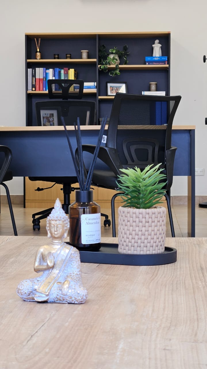 Detalle de la oficina del estudio